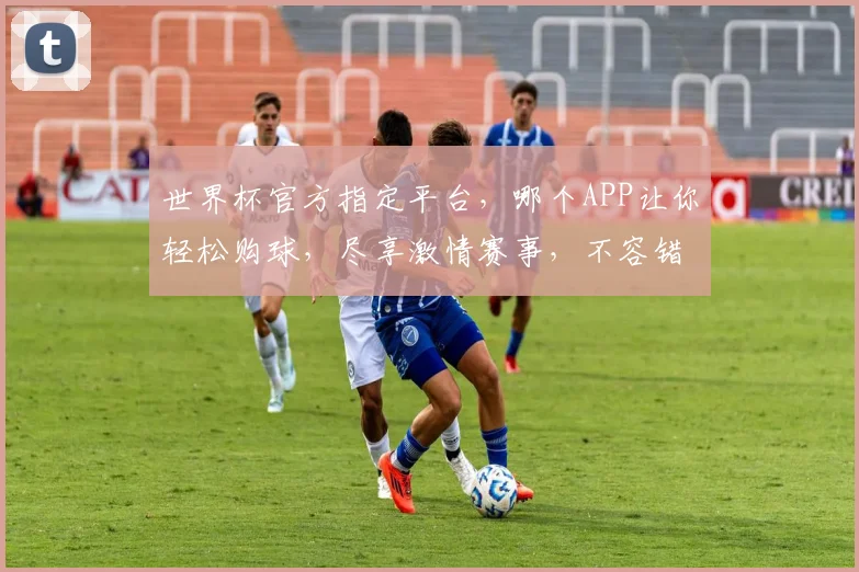 世界杯官方指定平台，哪个APP让你轻松购球，尽享激情赛事，不容错过