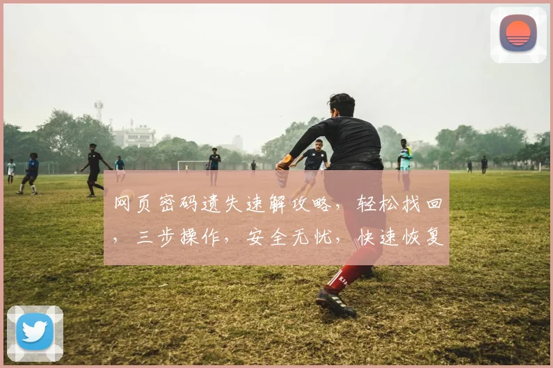 网页密码遗失速解攻略，轻松找回，三步操作，安全无忧，快速恢复登录