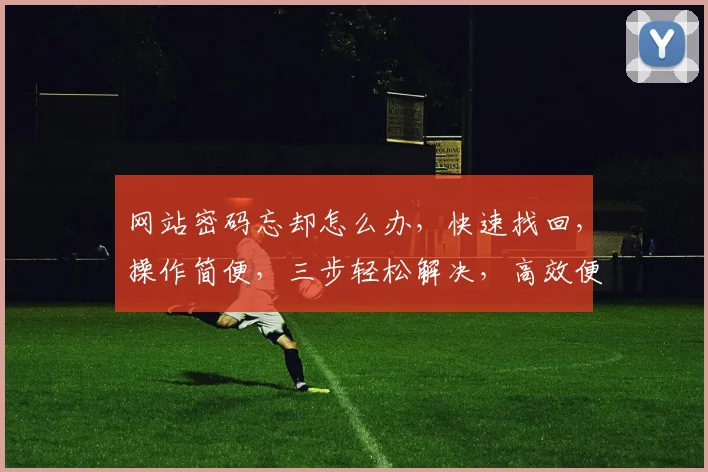 网站密码忘却怎么办，快速找回，操作简便，三步轻松解决，高效便捷