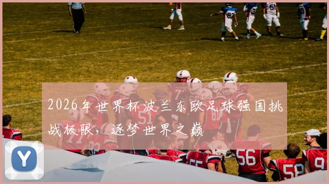 2026年世界杯波兰东欧足球强国挑战极限，逐梦世界之巅